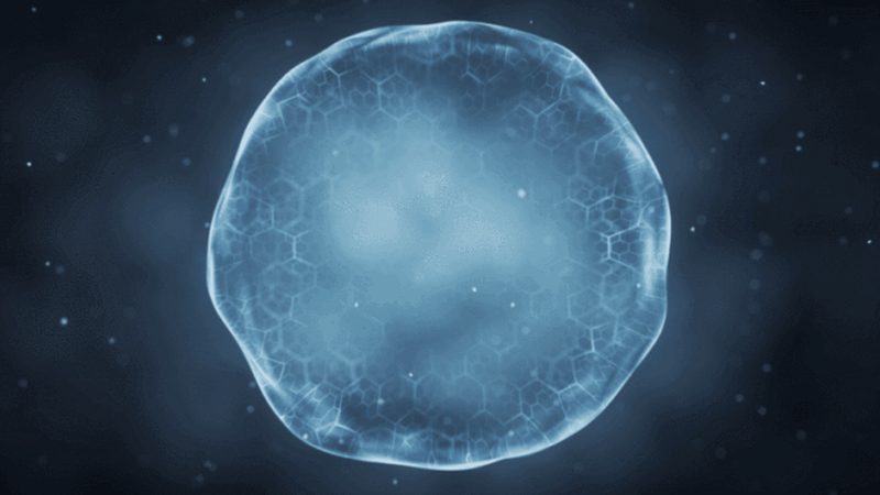 PCR检测试剂盒：如何确保其稳定性和有效性？**