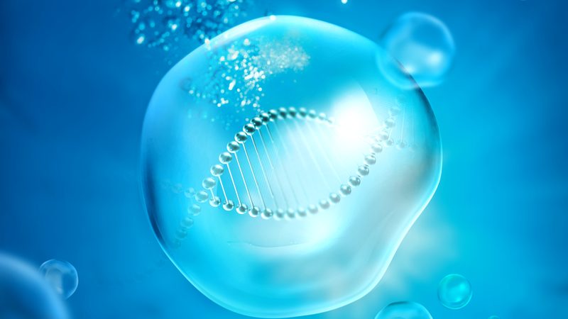 一次性报价单背后的生物试剂选购智慧