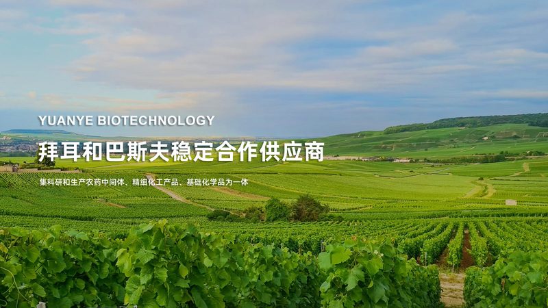 基因测序服务报价差异，核心在于定制化程度