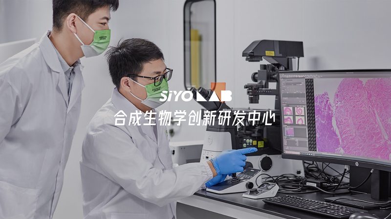 CDMO与CMO：揭秘两者价格差异背后的秘密