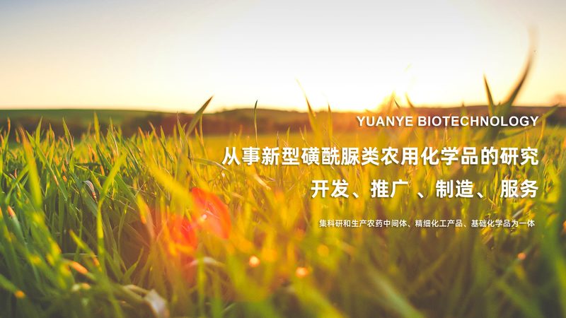 细胞治疗原料药：揭秘其背后的生产工艺与质量控制