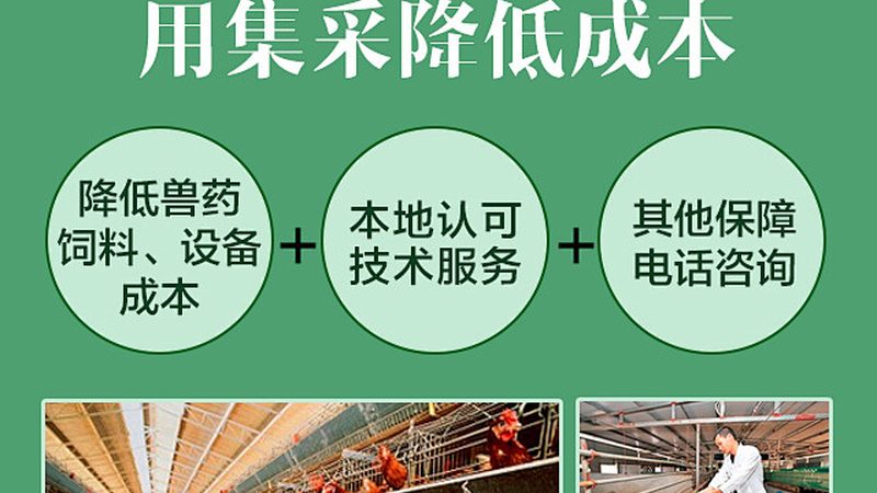 基因治疗生物制品储存运输：关键步骤与注意事项