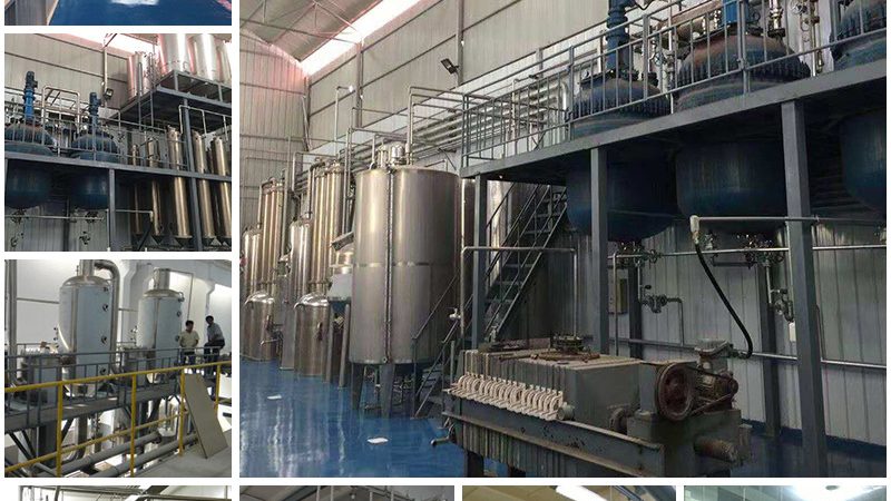生物科技饲料生产成本控制：揭秘降低成本的关键要素**